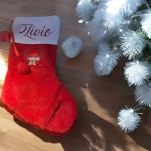 Botte de noël