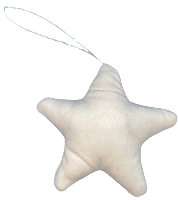 Etoile de noël