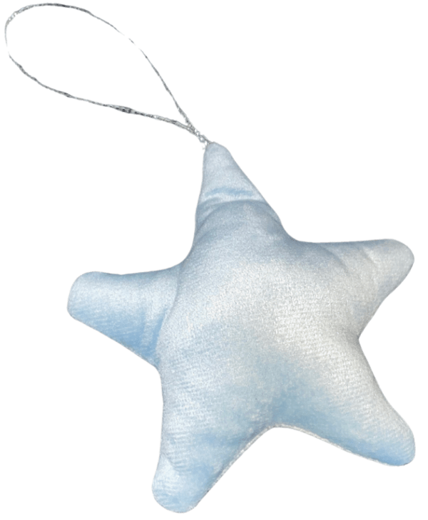 Etoile de Noël – Image 9