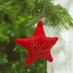 Etoile de noël