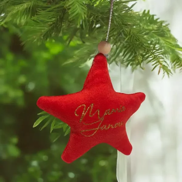 Etoile de noël