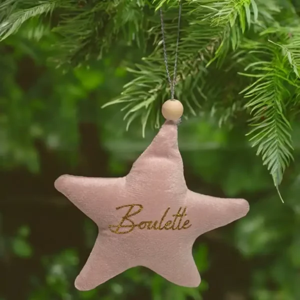 Etoile de noël
