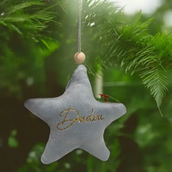 Etoile de noël
