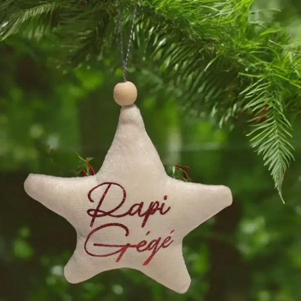 Etoile de noël