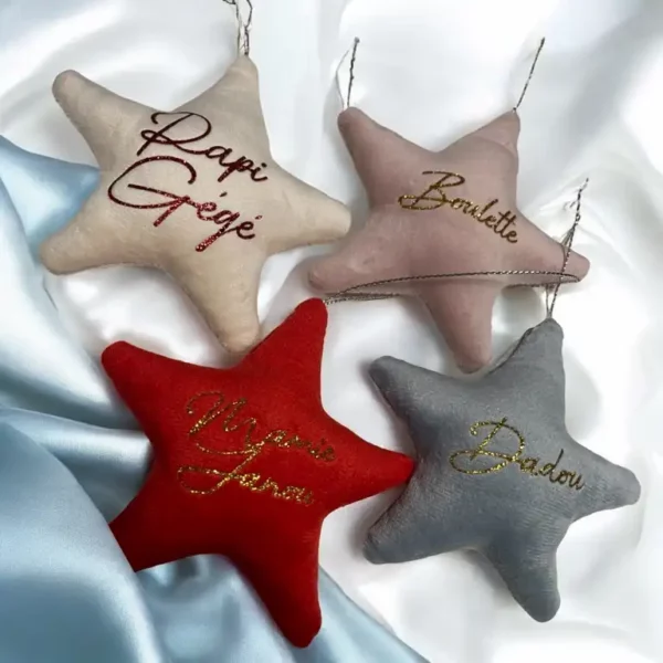 Etoile de noël